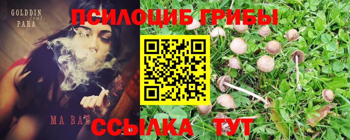 Галлюциногенные грибы Magic Shrooms Липецк
